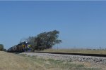 FWWR train to cleburne